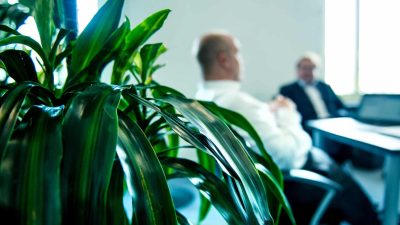 Immobilien-Anleger in die Irre geführt – der Kurier berichtet
